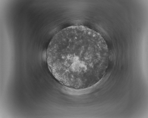 X0000112490047200909141213