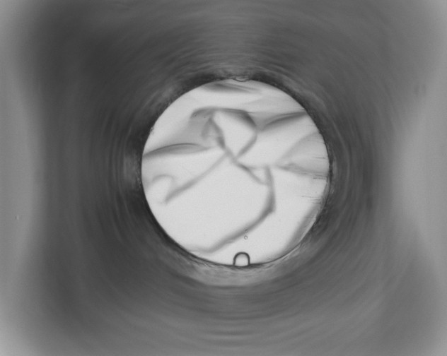 X0000112490048200909141213