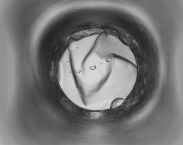 X0000112490050200909141212
