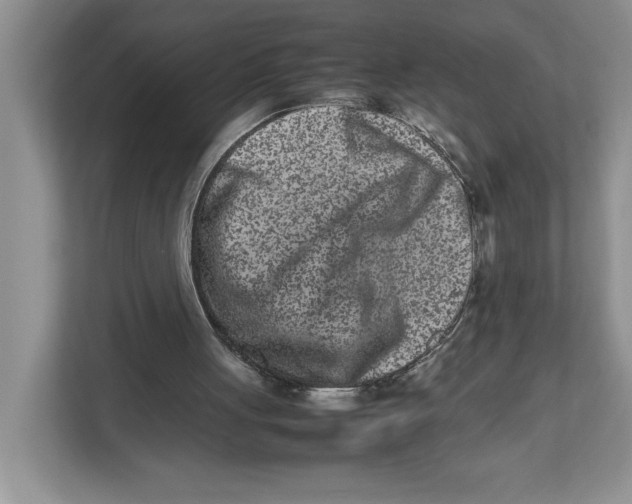 X0000112490051200909141212