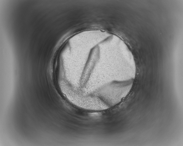 X0000112490053200909141212