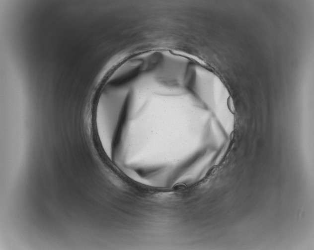 X0000112490054200909141212
