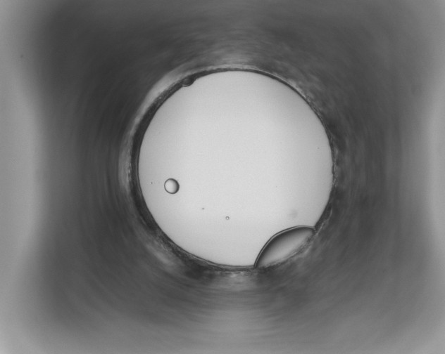 X0000112490056200909141212
