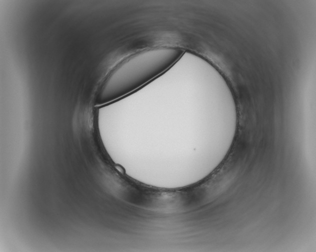 X0000112490060200909141212