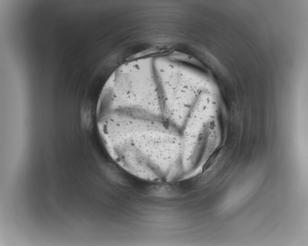 X0000112490074200909141212