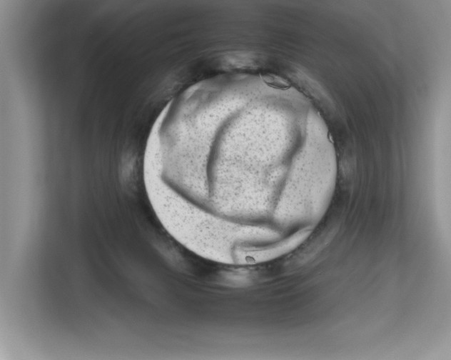 X0000112490079200909141212