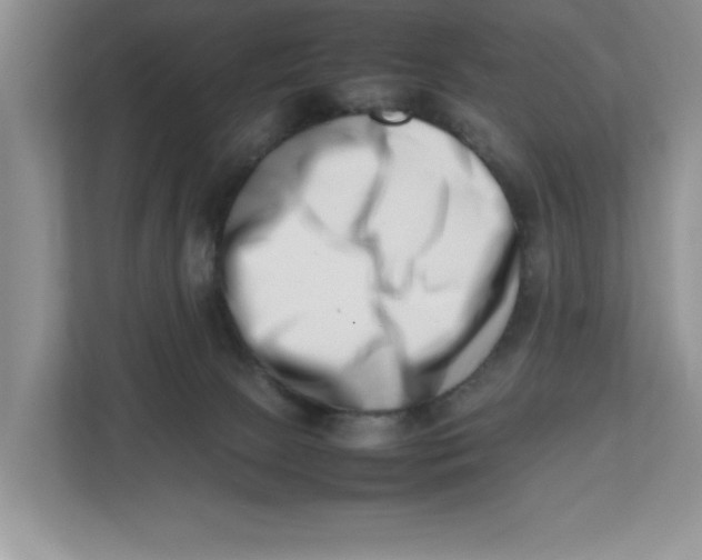 X0000112490081200909141212