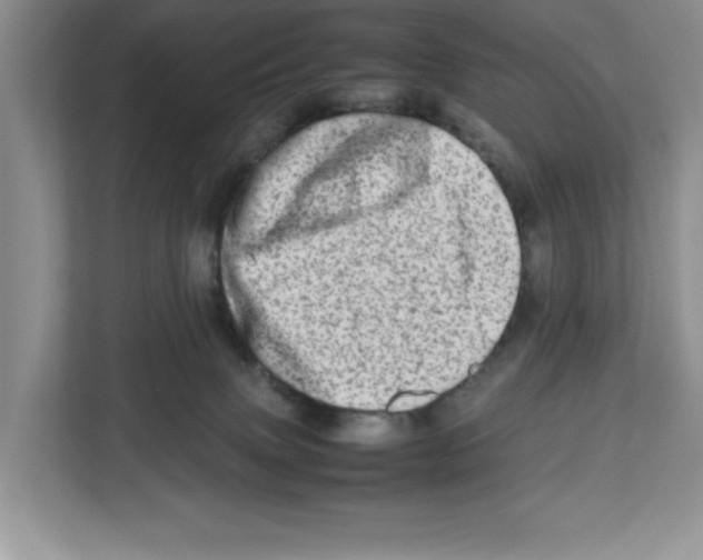 X0000112490083200909141212
