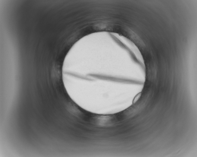 X0000112490085200909141212