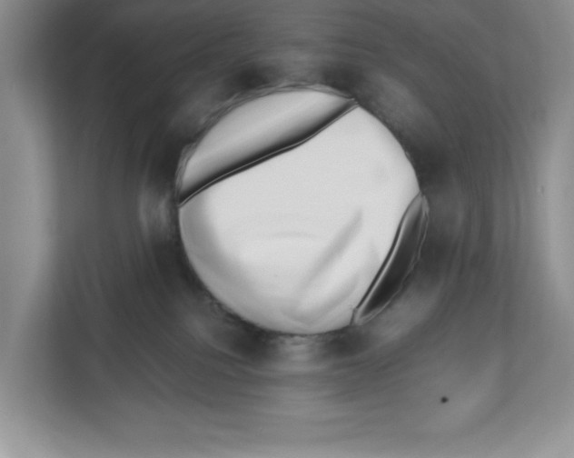 X0000112490088200909141213