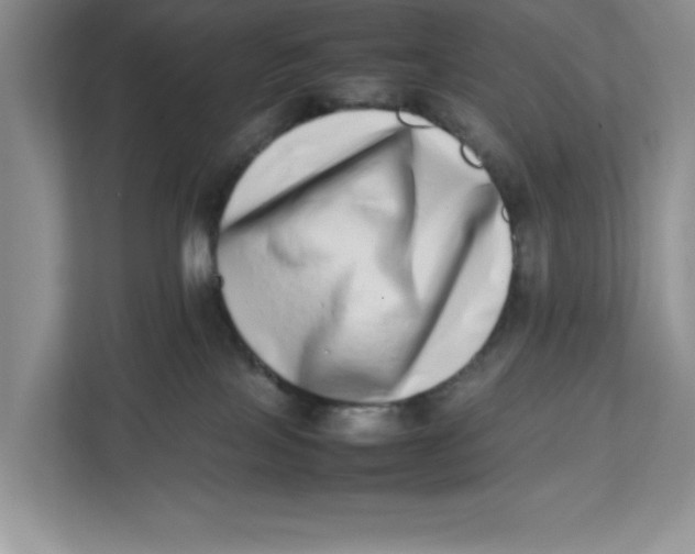 X0000112490089200909141213