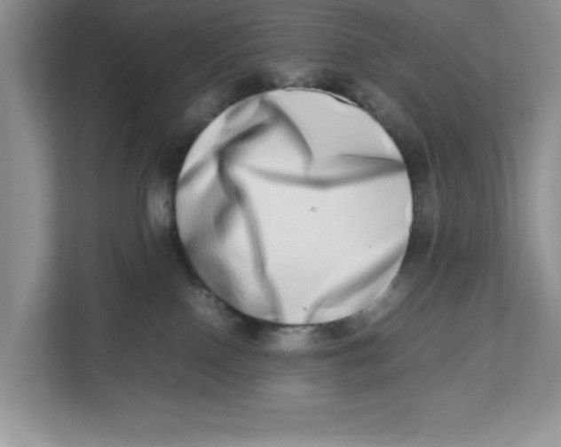X0000112490090200909141213