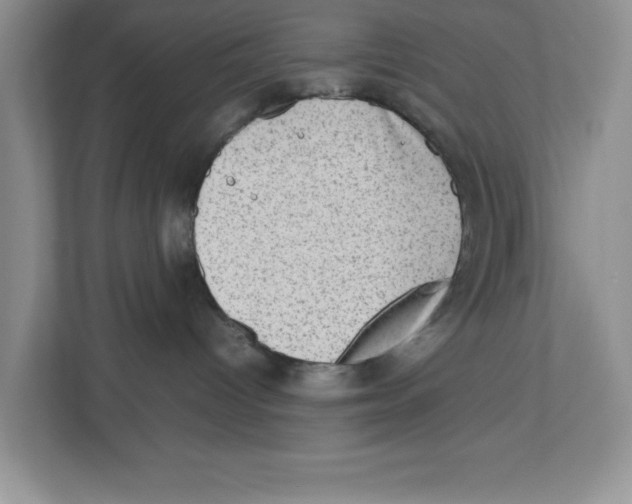 X0000112490096200909141213