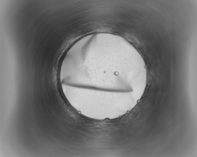 X0000112490098200909141212