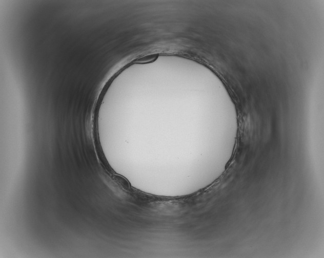 X0000112490100200909141212