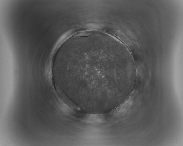 X0000112490101200909141212