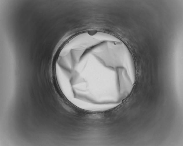 X0000112490102200909141212