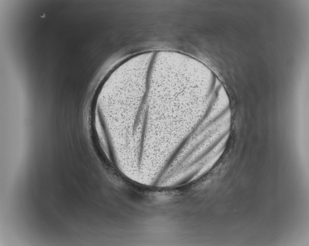 X0000112490103200909141212
