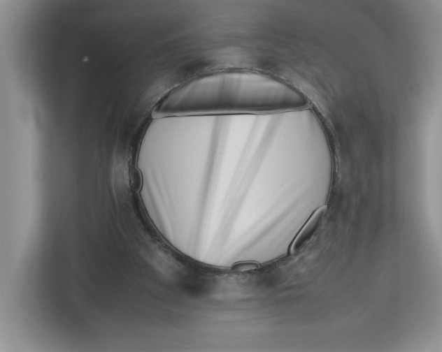 X0000112490105200909141212
