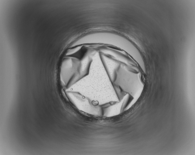 X0000112490111200909141212