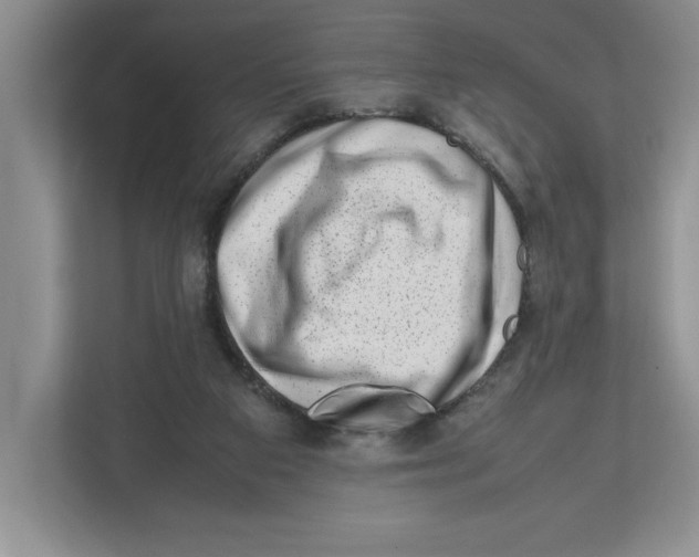 X0000112490113200909141212