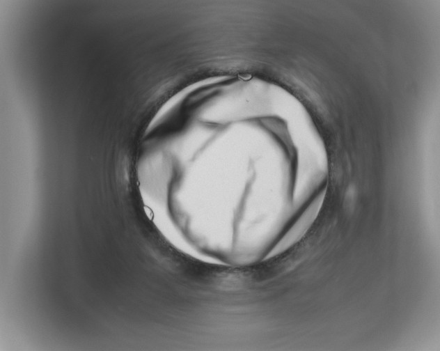 X0000112490115200909141212