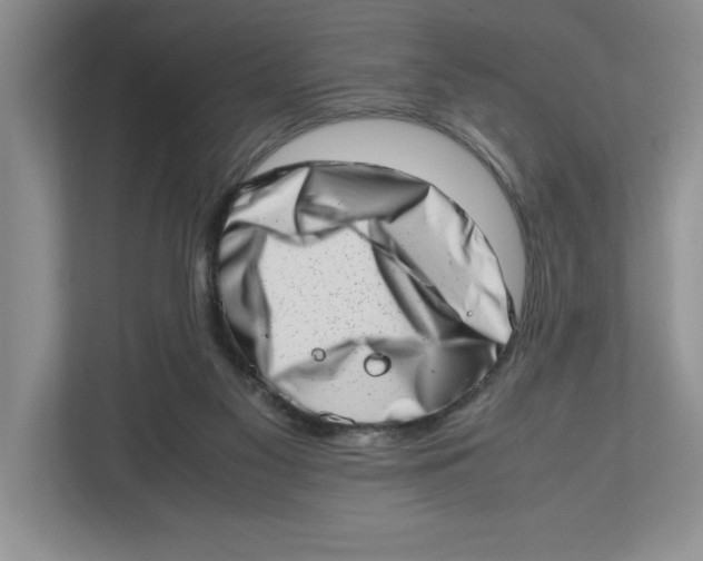 X0000112490117200909141212