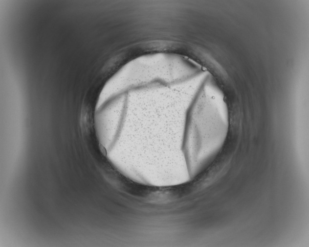 X0000112490119200909141212