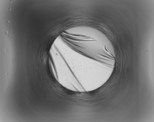 X0000112490125200909141212