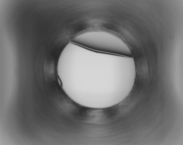X0000112490132200909141212