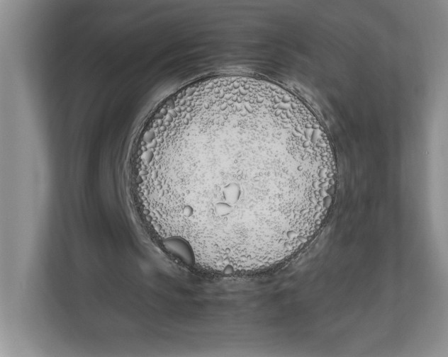 X0000112490145200909141211