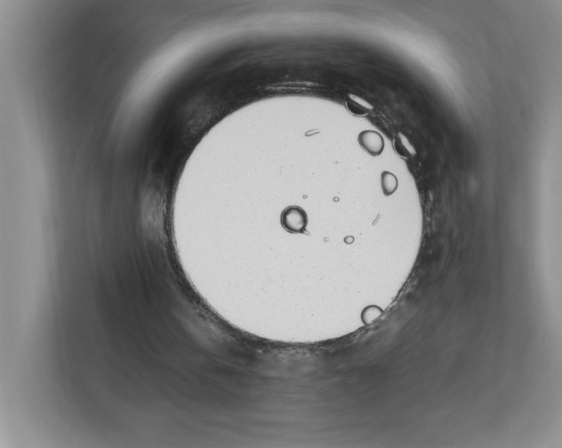 X0000112490146200909141211