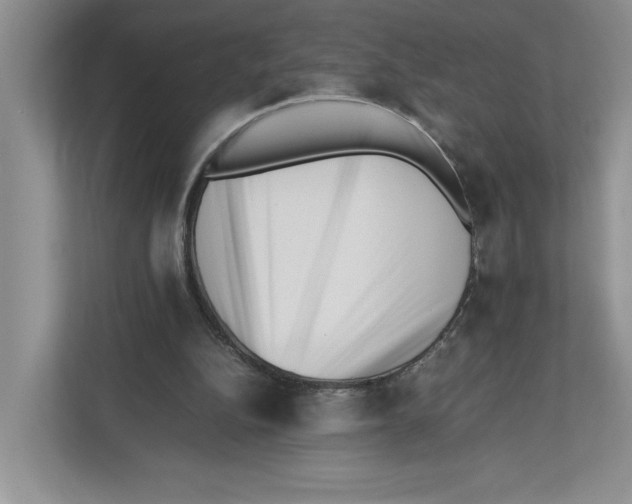 X0000112490152200909141211