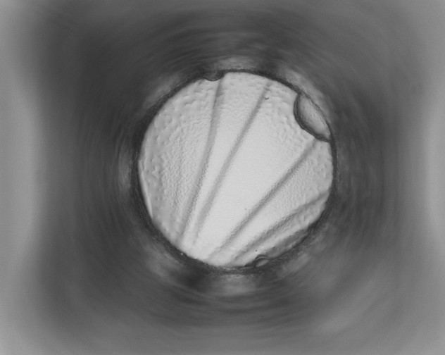 X0000112490153200909141211