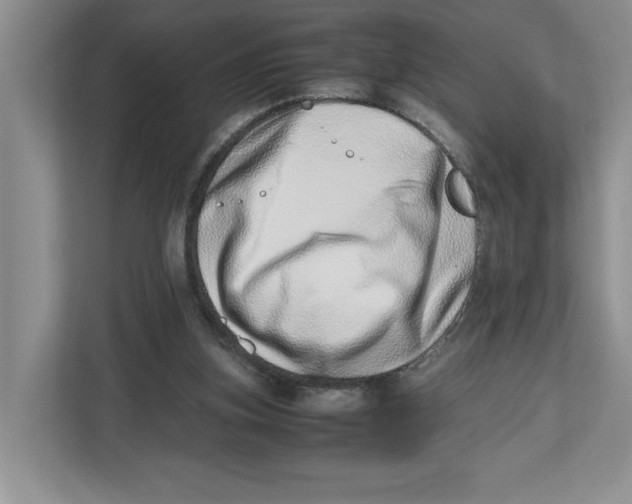 X0000112490155200909141211