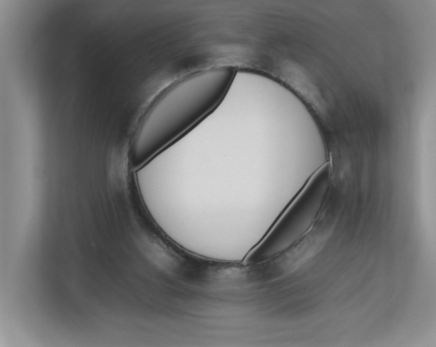X0000112490156200909141211