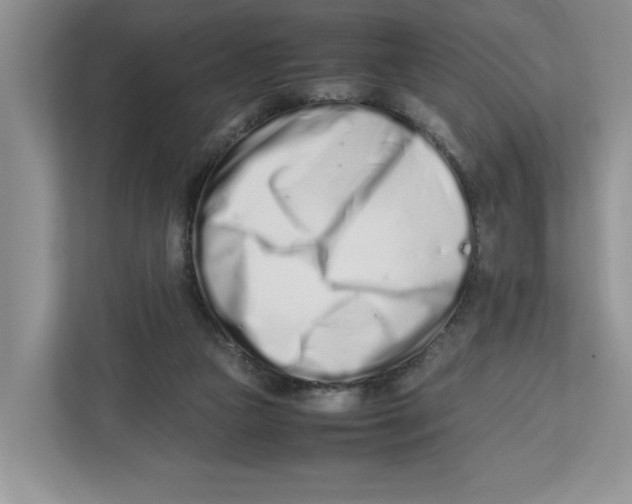 X0000112490161200909141211