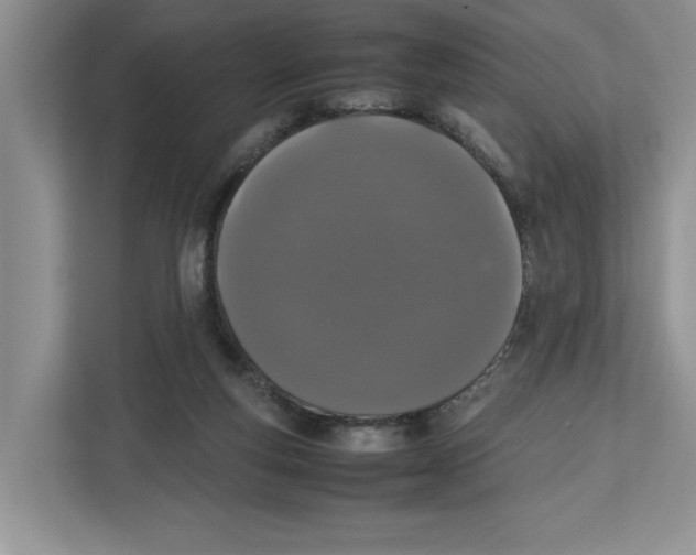 X0000112490163200909141211