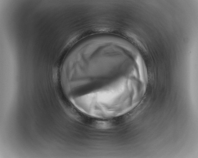 X0000112490167200909141211