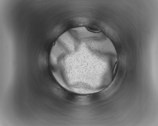 X0000112490170200909141211