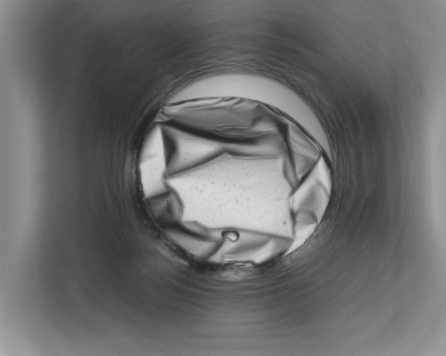 X0000112490172200909141211
