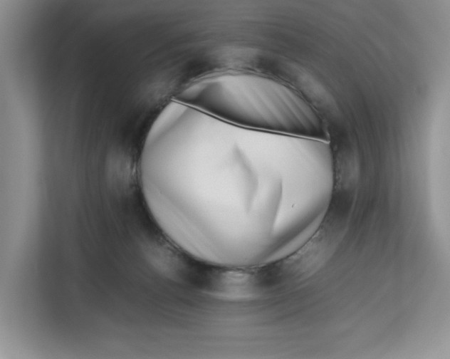 X0000112490176200909141211