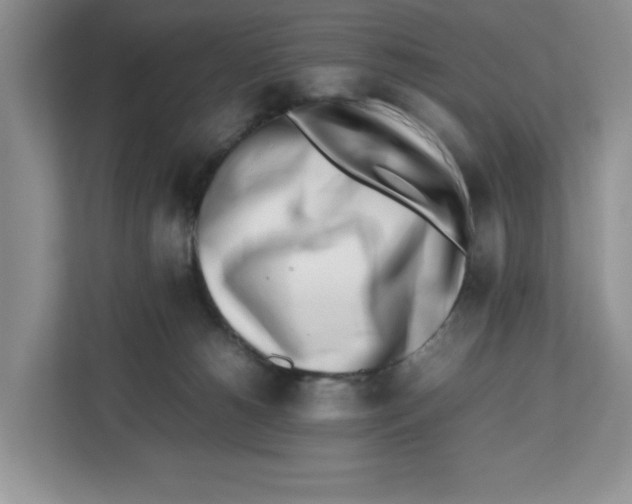 X0000112490180200909141211