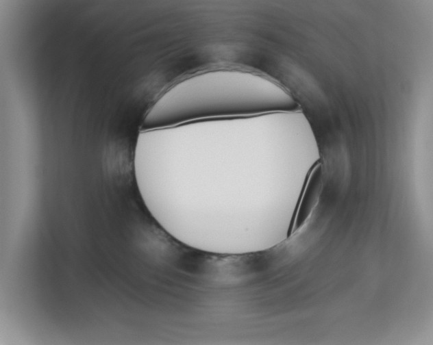 X0000112490186200909141211