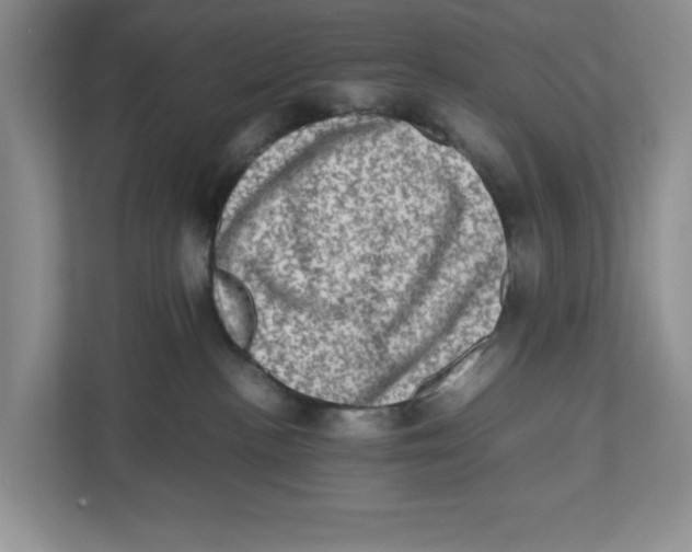 X0000112490188200909141211