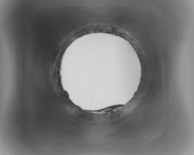 X0000112490192200909141211