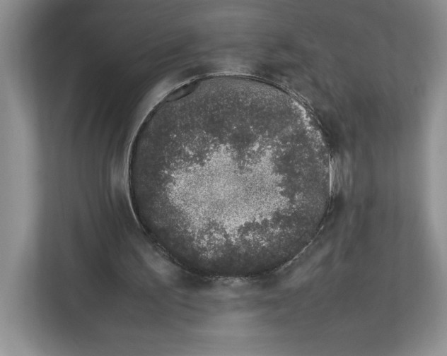 X0000112490195200909141211