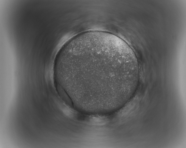 X0000112490199200909141211