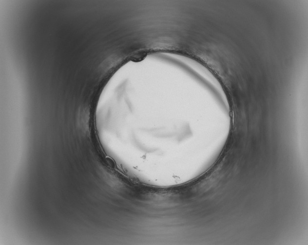 X0000112490201200909141211