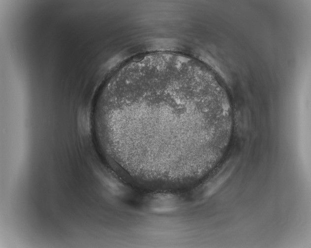 X0000112490203200909141211